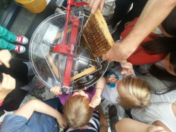 Schauschleudern Planetarium Honigwabe Schleuder hemmer