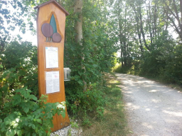 baum gehoelzweg vierkirchen c hemmer