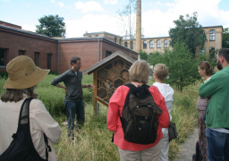 insektennisthilfe langer tag der stadtnatur2014 c karin oberlaender