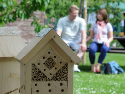 wildbienenhotel infostand gaeste hemmer